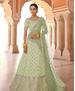 Picture of Classy Pista Lehenga Choli