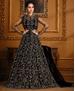 Picture of Beauteous Black Designer Salwar Kameez