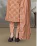 Picture of Amazing Fawn Straight Cut Salwar Kameez