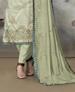 Picture of Nice Pista Straight Cut Salwar Kameez