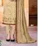 Picture of Nice Beige Straight Cut Salwar Kameez