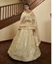 Picture of Charming Beige Lehenga Choli