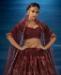 Picture of Nice Brown Lehenga Choli