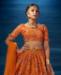 Picture of Beautiful Orange Lehenga Choli