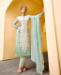 Picture of Sightly Pista Straight Cut Salwar Kameez