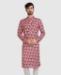 Picture of Splendid Multicolor Kurtas