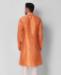 Picture of Delightful Orange Kurtas