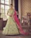 Picture of Pretty Pista Lehenga Choli