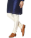 Picture of Classy Navy Blue Kurtas