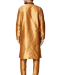 Picture of Classy Chiku Kurtas