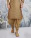 Picture of Beautiful Baige Kurtas