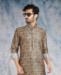 Picture of Beauteous Baige Kurtas