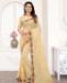 Picture of Beautiful Chiku Georgette Saree