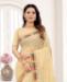 Picture of Beautiful Chiku Georgette Saree