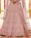 Picture of Pretty Peach Lehenga Choli