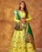 Picture of Appealing Yellow Green Lehenga Choli