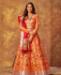 Picture of Pleasing Orange Lehenga Choli