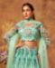 Picture of Taking Sea Green Lehenga Choli