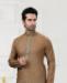 Picture of Fascinating Light Brown Kurtas