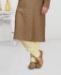 Picture of Fascinating Light Brown Kurtas