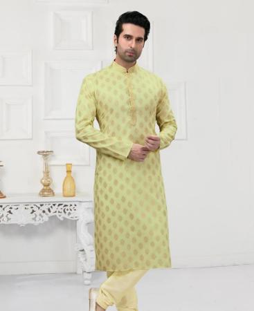 Picture of Fascinating Light Pista Kurtas