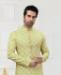 Picture of Fascinating Light Pista Kurtas