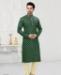 Picture of Statuesque Green Kurtas