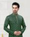 Picture of Statuesque Green Kurtas