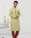 Picture of Ravishing Light Pista Kurtas