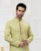 Picture of Ravishing Light Pista Kurtas