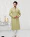 Picture of Charming Light Pista Kurtas