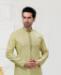 Picture of Charming Light Pista Kurtas