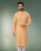 Picture of Alluring Multi Kurtas