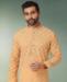 Picture of Alluring Multi Kurtas