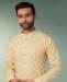 Picture of Admirable Lemon Kurtas