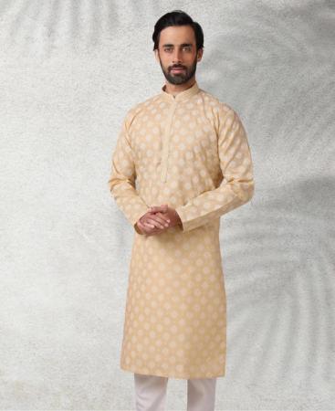 Picture of Excellent Beige Kurtas