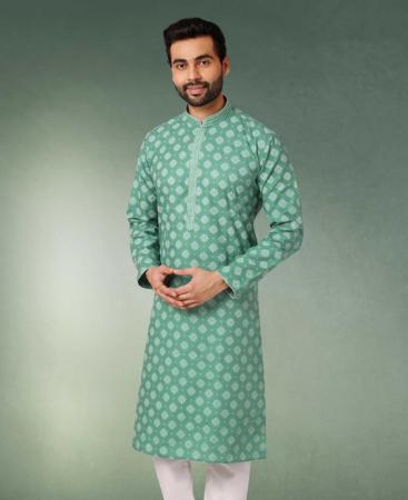 Picture of Admirable Green Kurtas