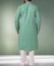 Picture of Admirable Green Kurtas