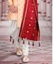 Picture of Bewitching Natural Sherwani