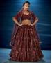 Picture of Nice Brown Lehenga Choli