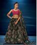 Picture of Charming Green Lehenga Choli