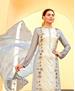 Picture of Enticing Grey Straight Cut Salwar Kameez