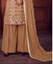 Picture of Pleasing Brown Straight Cut Salwar Kameez