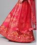 Picture of Gorgeous Pink Lehenga Choli