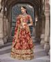 Picture of Sublime Red Lehenga Choli