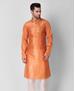 Picture of Delightful Orange Kurtas