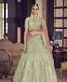 Picture of Graceful Pista Lehenga Choli