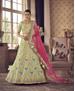 Picture of Pretty Pista Lehenga Choli