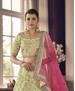 Picture of Pretty Pista Lehenga Choli