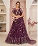 Picture of Elegant Wine Lehenga Choli